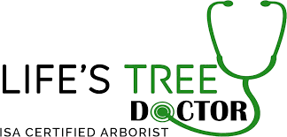 https://fordpta.org/wp-content/uploads/2023/04/Lifes-Tree-Doctor.png